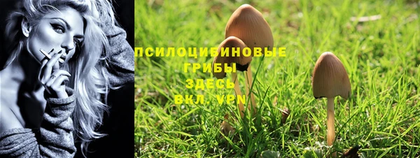 Альфа ПВП Баксан