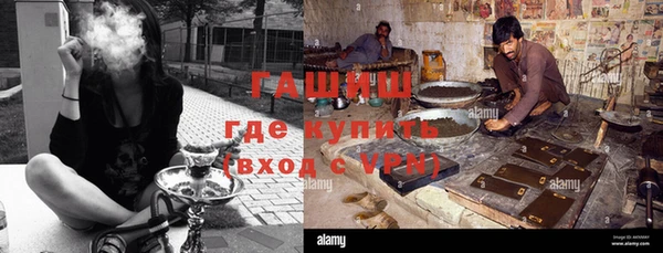 сатива Балахна