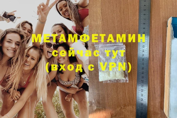 сатива Балахна