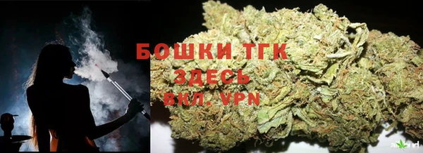 сатива Балахна